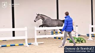 Osmose de Bornival Z