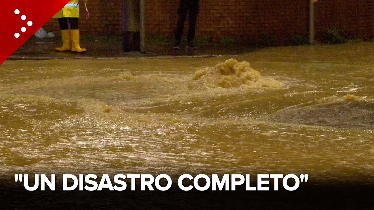 Alluvione a Bologna, esonda il rio Brolo e allaga San Lazzaro di Savena: 