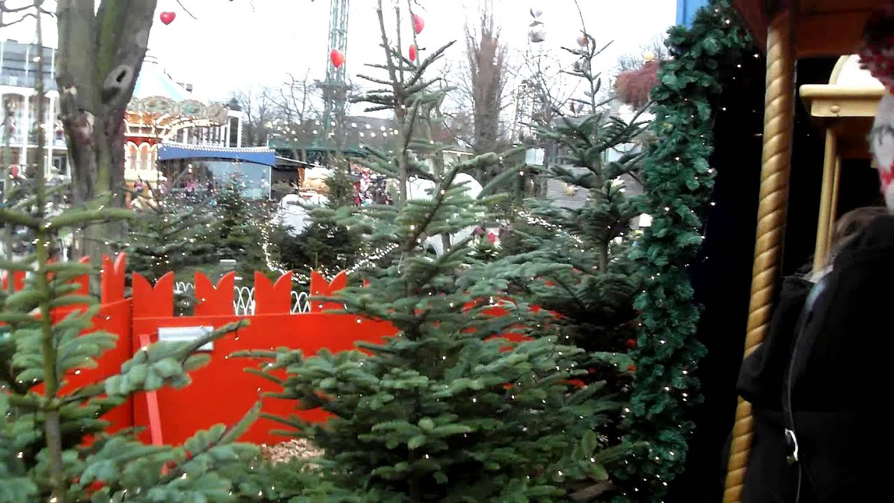 Den Russiske Jerbane(Tivoli) - Winter 2012 Back Seat POV