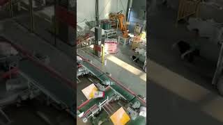 Palletizing robot combined with wrapping film machine for food and chemical industry.