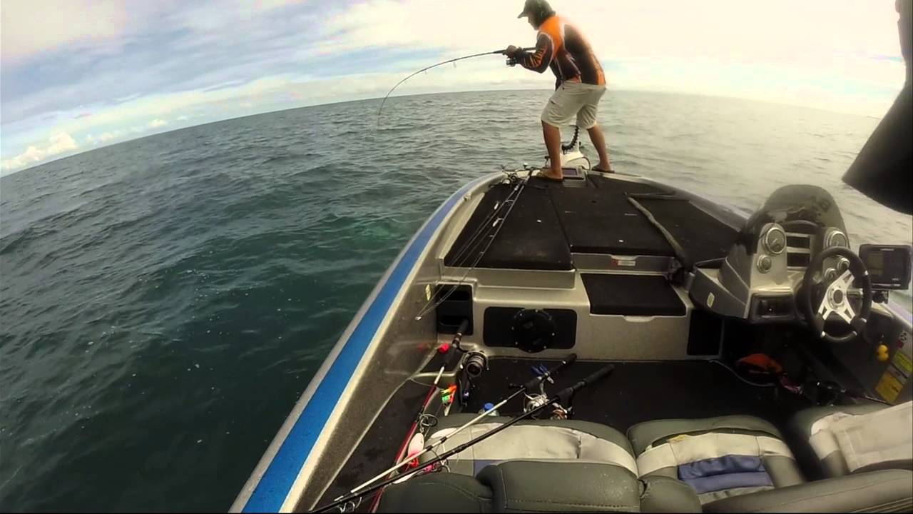 Hervey bay sportfishing! YouTube