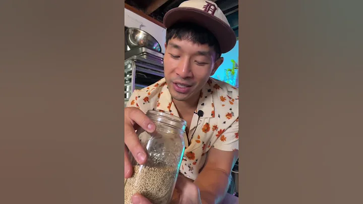 Understanding Spice: Sesame Seeds - DayDayNews