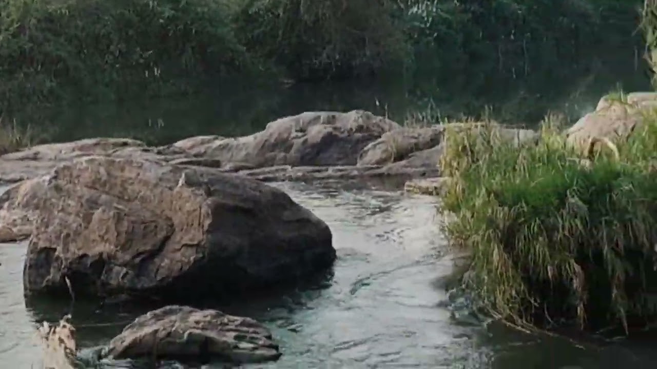 My dream is full filled with this#❤️#🥹😌