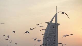 Beach near Burj Al Arab