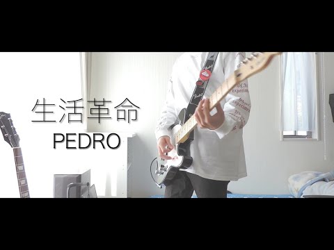 【弾いてみた】PEDRO / 生活革命