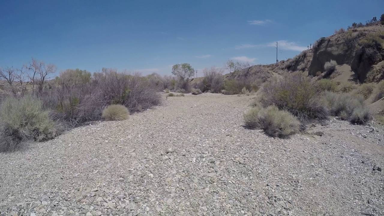 Leaving Pallet Creek