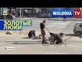 В Кишинёве нашли золото в канализационных люках | Новости Moldova TV