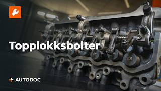 Skifte Topplokk AUDI A4 - vedlikeholdstips