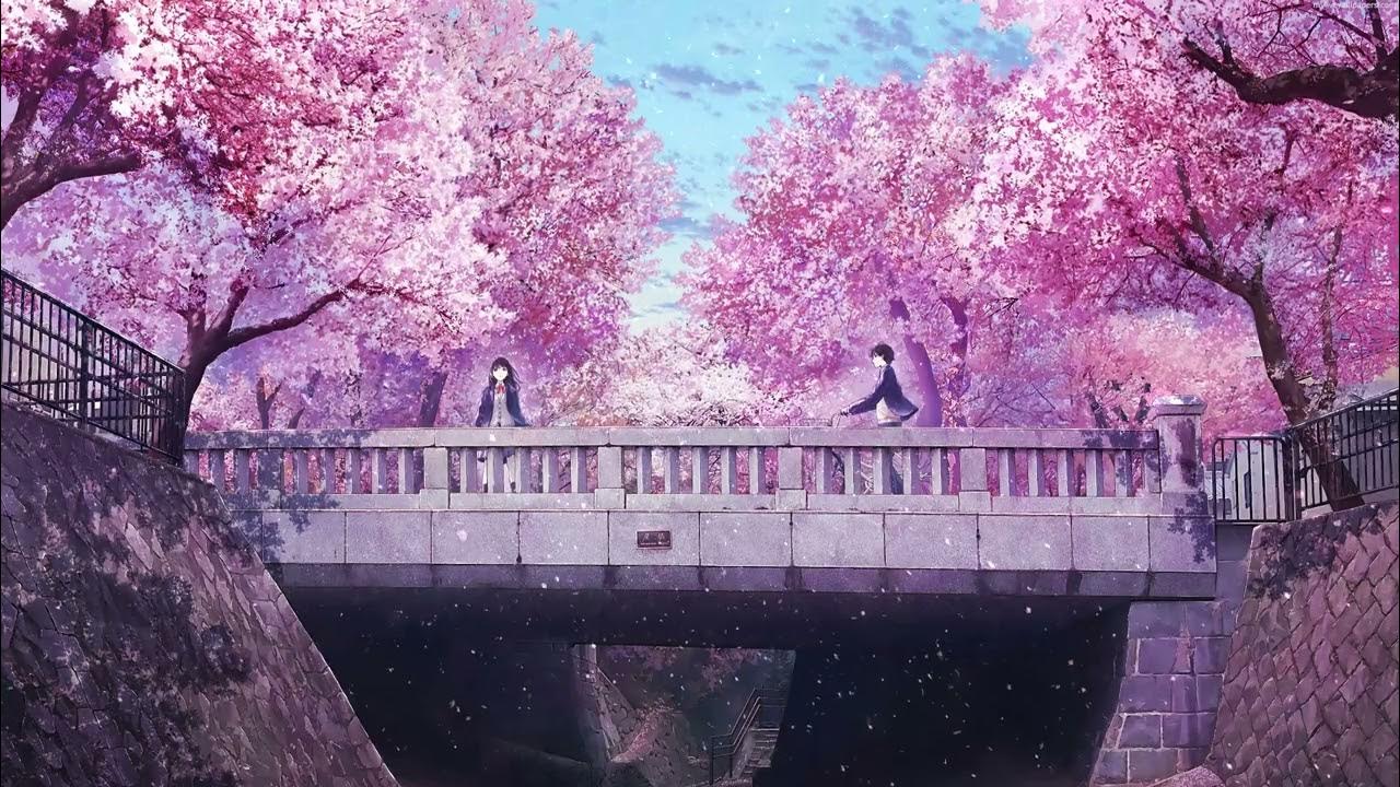 Sakura & Clouds Pink Anime Wallpapers - Sakura Wallpaper Phone