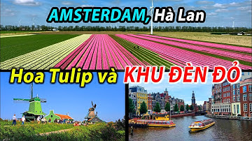 Ly kỳ đi vào KHU ĐÈN ĐỎ ở Amsterdam để thưởng thức hoa... tulip. Hà Lan, Holland, Dutch