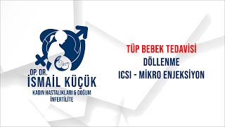 Tüp Bebek Tedavisi Bölüm 12 Döllenme Icsi - Mikro Enjeksiyon Yöntemi