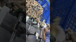 Dust-Free Sushi Tube Production | High-Efficiency Custom Packaging for Sushi #sushipackaging#sushi