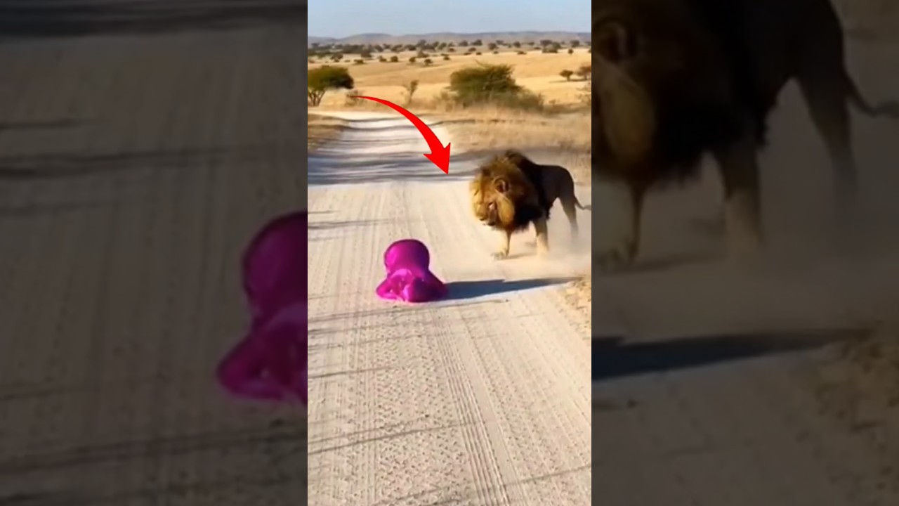 “There was no one to protect him… except God.”😱🥺