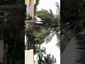 ரொம்ப அழகா இருக்கு