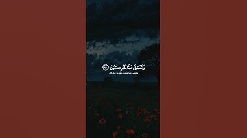 اكتب شيء تؤجر عليه ❤️😴| تلاوة  هادئة  وجميلة جدا_قران كريم _القارئ ياسر الدوسري