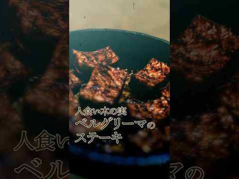 異世界の人間を食べる実 vs 上位存在。禁断の「ベルグリーマステーキ」が完成！ #vrchat #Δ学派