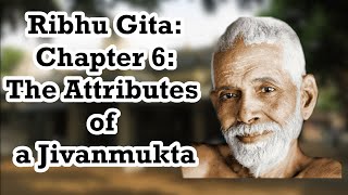 Ribhu Gita Part 7 The Attributes Of Jivanmukta Ramana Maharshi Vendantazenoneness