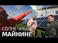 Как ездить на Tesla бесплатно? Сколько стоит энергонезависимость, и как на ней заработать?