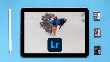iPad Air GOOD Enough for Photo Editing on the Go?