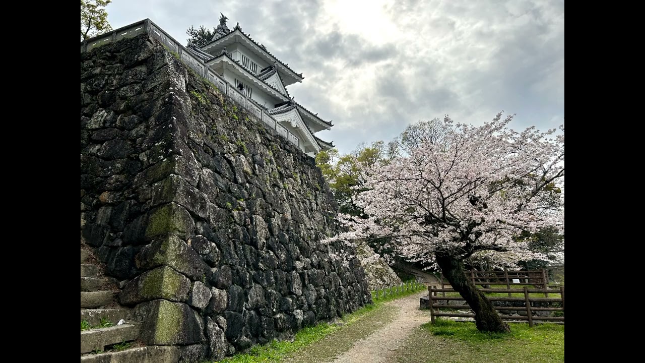 #2 vlog Toyohashi Park | Sakura 2023 | Japan
