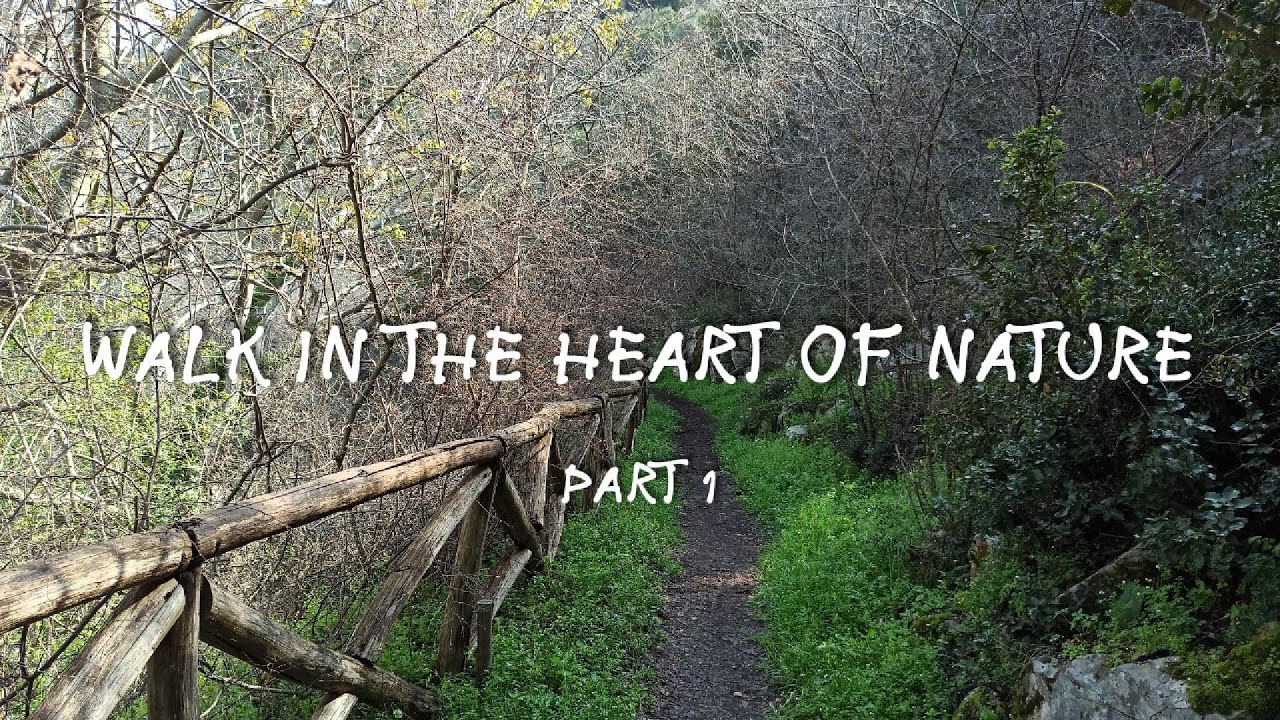 Прогулка в сердце природы – Серия 1. Walk in the heart of nature - part 1