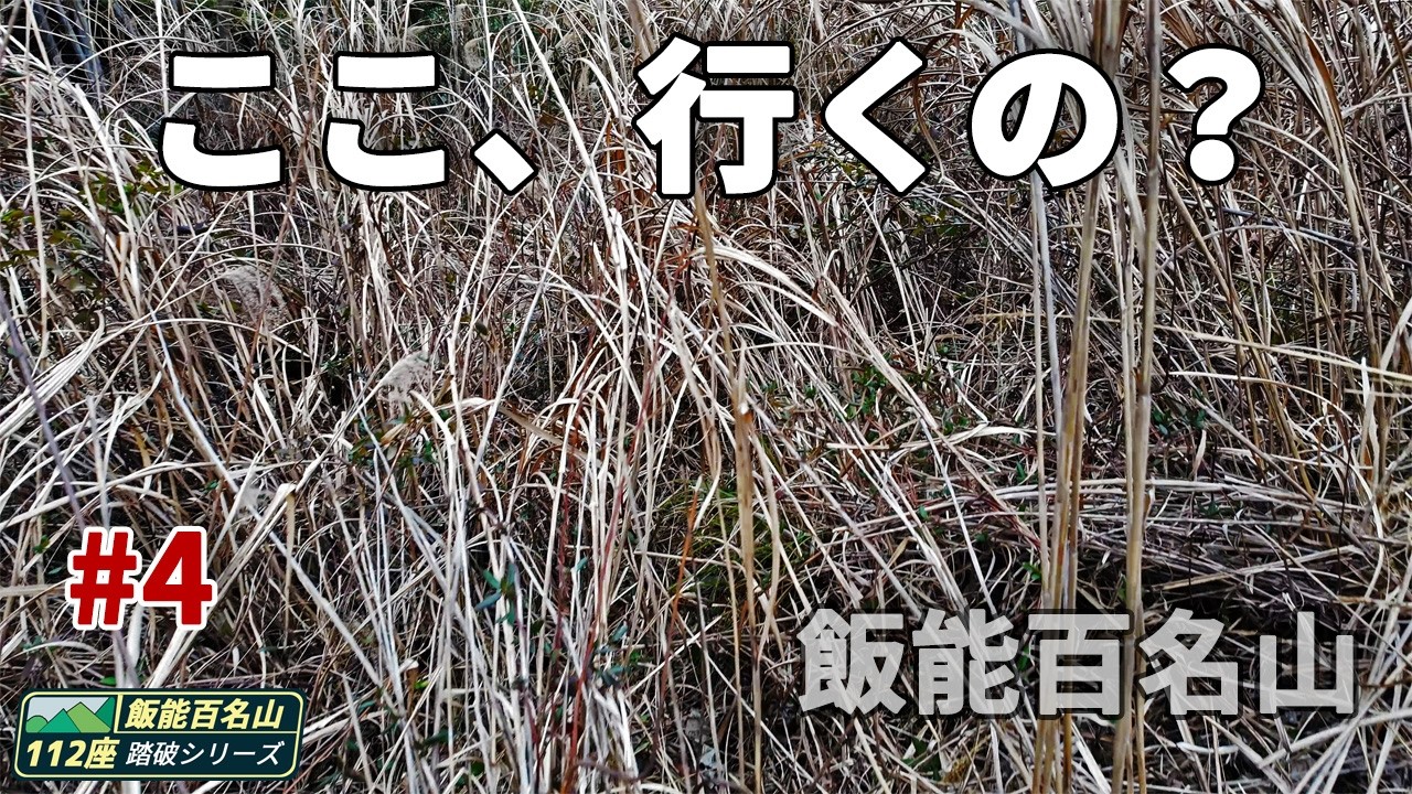 ここ、本当に登山道？体力を削る飯能の低山｜飯能百名山 #4