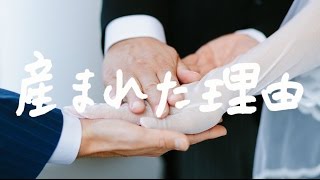 産まれた理由の視聴動画