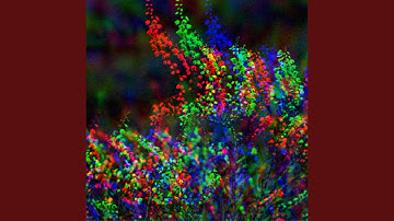 Cultivated Backdrops for Meditative Daydreams