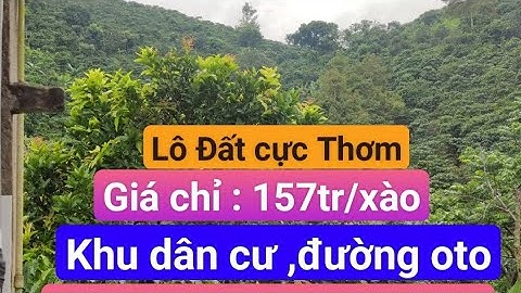 Đất cực thơm , 7000m2 có nhà cấp 4 , giá : 157tr/xào , vườn trái cây . Gần Xà Lùng , Đinh Trang Hòa