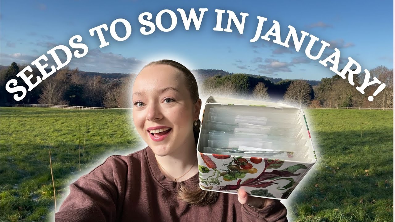 All the seeds I have sown this January (it's not too early!!)