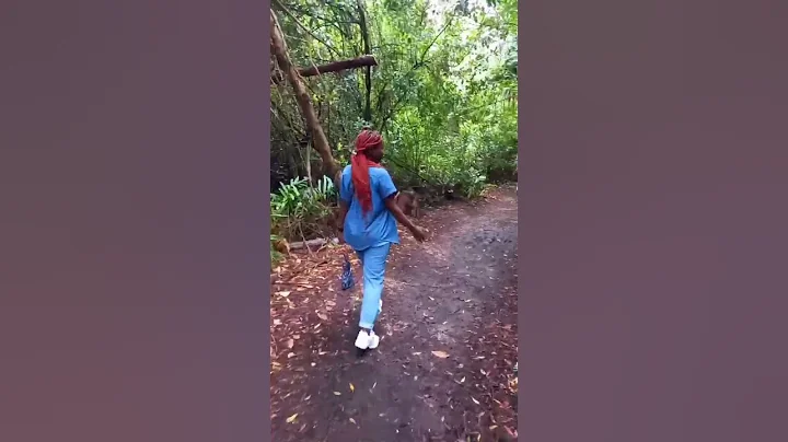 LETS EXPLORE HALLER PARK .....ALWAYS SAY  YES TO N...