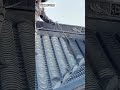 The process of spraying paint on roof tiles using a special tool #shorts