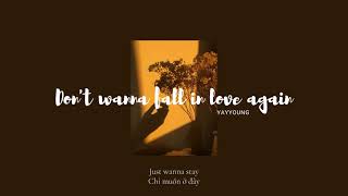 Don't Wanna Fall In Love Again - YAYYOUNG [Vietsub + Lyrics]
