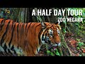 Zoo Negara Malaysia | A Half Day Tour | Fun Things To Do In Kuala Lumpur