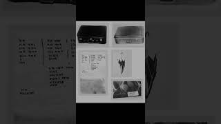 VeilTheory: Identity Completely Erased #veiltheory #shorts #isdalwoman #coldcase #spymystery