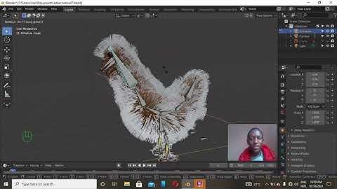 How to rig silkie chicken and make hair particles follow the rig (2/3)