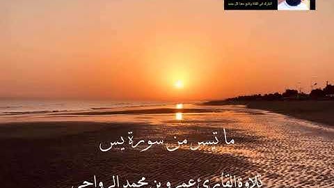 ما تيسر من #سورة_يس تلاوة القارئ عمرو محمد الرواحي