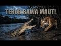 MONSTER SUNGAI PRASEJARAH! Harimau Siberia vs Buaya Muara 1000 Kg (Simulasi Maut)