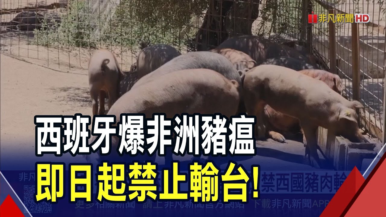 分散台灣風險? 美光1.5兆日圓在日蓋HBM廠| 科技| 非凡新聞