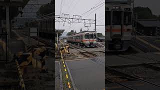 飯田線　普通豊橋行き　が通過しました　JR東海　天竜峡駅から