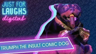 Triumph the Insult Comic Dog  Taking Down Canada