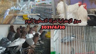 سوق الزعفرانية لبيع وشراء الحيوانات شركة الاسطورة اليوم 2021/4/30