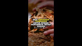 Hukum Menanam Tembakau Untuk Bahan Baku Rokok - Rumaysho TV   #ustadzmuhammadabduhtuasikal