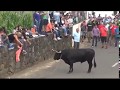 TOURADAS A CORDA ILHA GRACIOSA 2017 - 8 - 26 FESTAS SANTO ANTONIO VITORIA