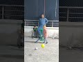Lovely 🌹 bating style with single wicket with his coach #subscribe #youtube #shortsviral #tranding