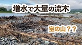 レイアウト 山奥で流木さがし 石 Youtube