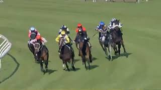 картинка: СЕГОДНЯ АВСТРАЛИЙСКАЯ ПРЯМАЯ ГОНКА Doomben