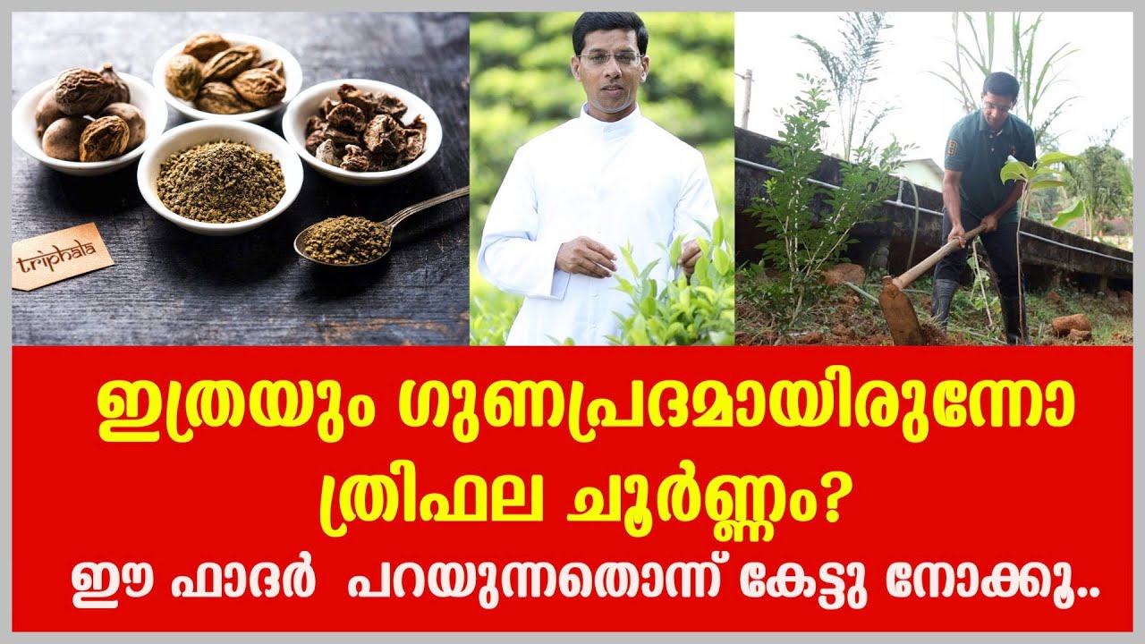 ഇത്രയും ഗുണപ്രദമായിരുന്നോ ത്രിഫല ചൂർണ്ണം? ഈ ഫാദർ  പറയുന്നതൊന്ന് കേട്ടു നോക്കൂ...