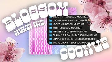 HOW I MAKE BEATS LIKE GINSENG/MISOGI (W/ BLOSSOM MULTI KIT)