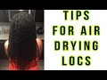 HOW TO PREVENT MOLD IN LOCS --- PROPERLY AIR DRY LOCS | Patty Phattty